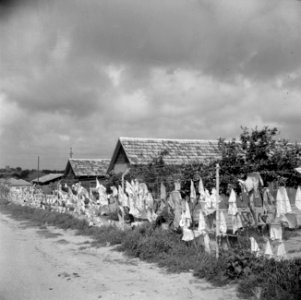 Drogende was aan het prikkeldraad bij het kinderdorp Oniem, Bestanddeelnr 255-0551