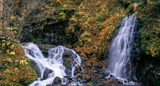 Shirakami-sanchi world heritage region japan