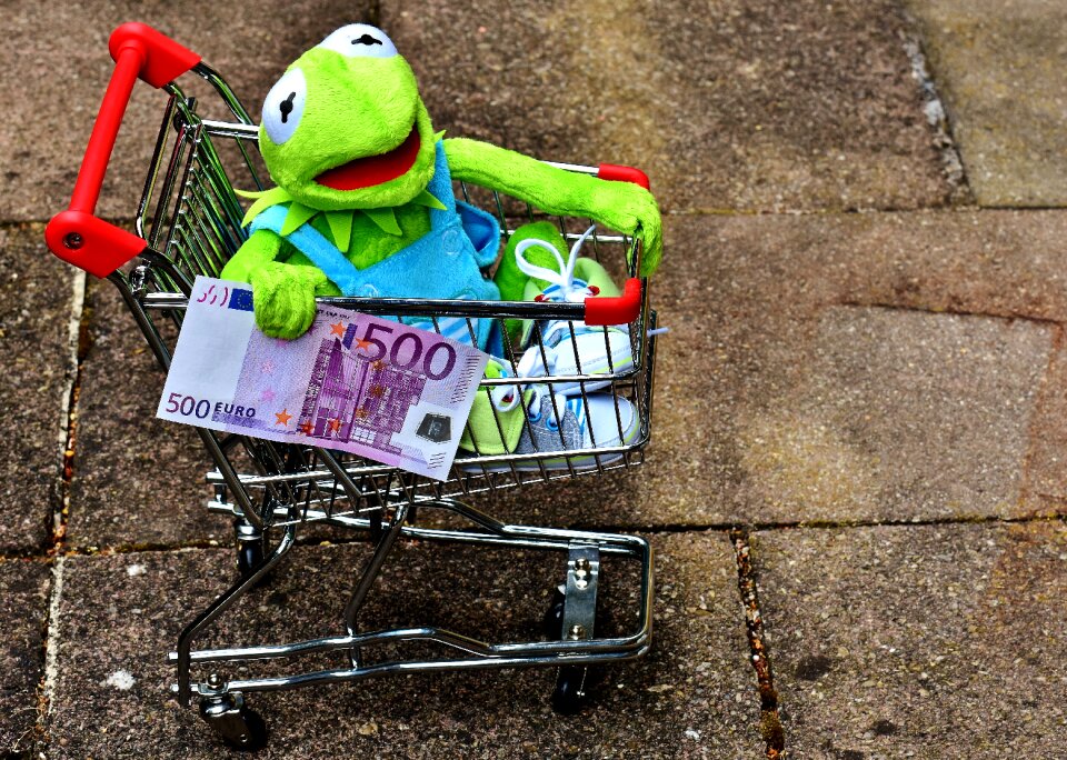 Frog fun stuffed animal