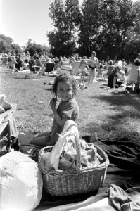 Drukte in speelvijver Vondelpark, Amsterdam, Bestanddeelnr 922-5079
