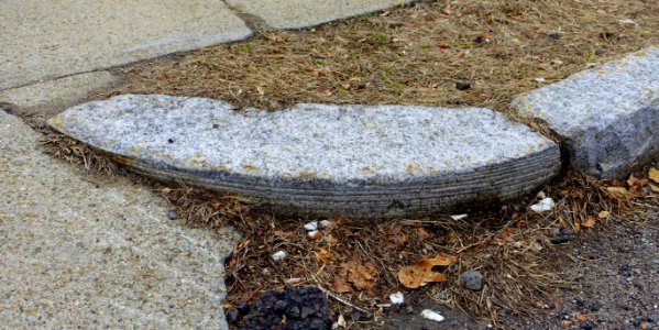 Driveway curbstone - Arlington, MA - DSC09633