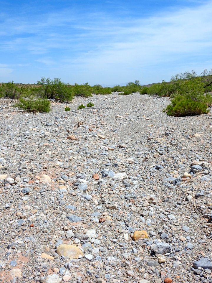 Dry Desert Stream Bed at Red Rock Canyon NCA