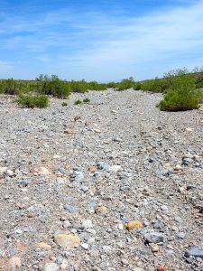 Dry Desert Stream Bed at Red Rock Canyon NCA