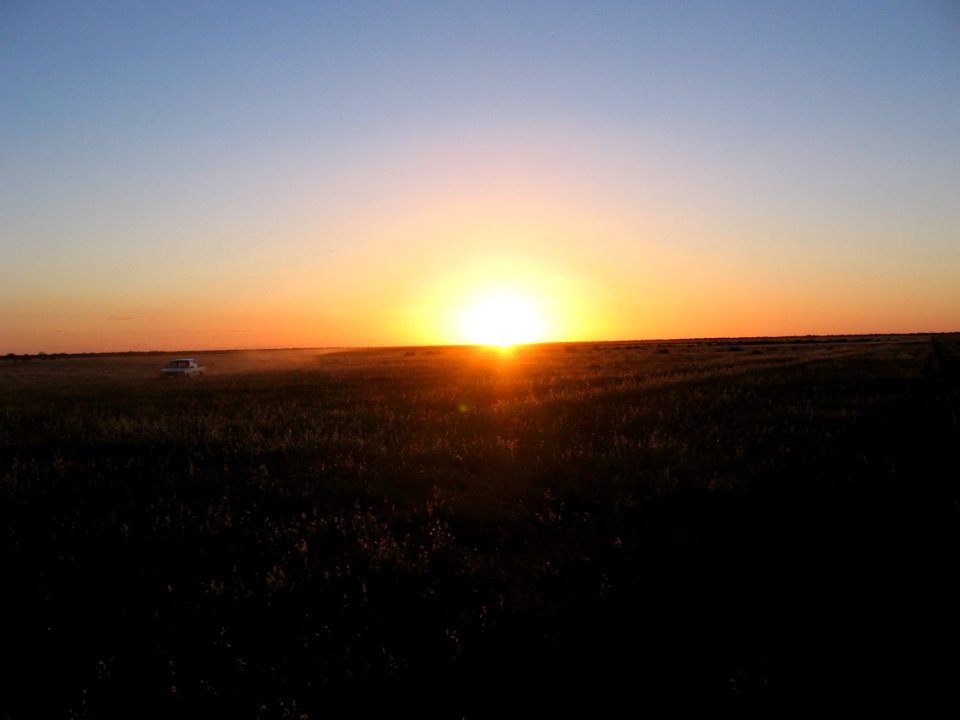 Driving through fields as the sun sets, Hay, Australia