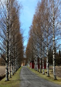 Driveway Oulujoki Rectory Oulu 20140517