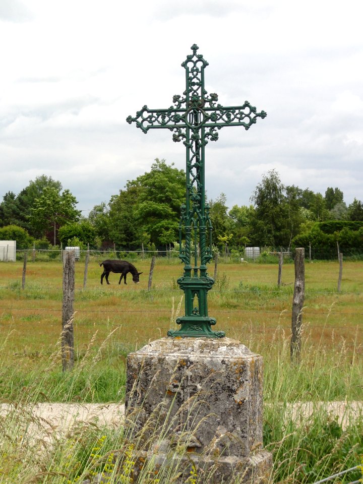 Dry (Loiret) Croix vers Lailly-en-Val