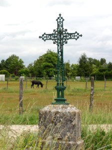 Dry (Loiret) Croix vers Lailly-en-Val