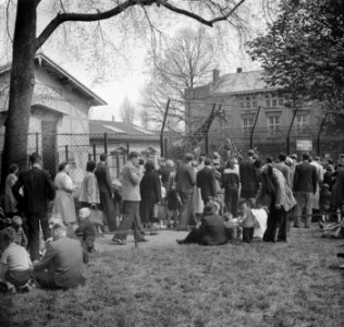 Drukte in Artis op Hemelvaartsdag, Bestanddeelnr 904-5500
