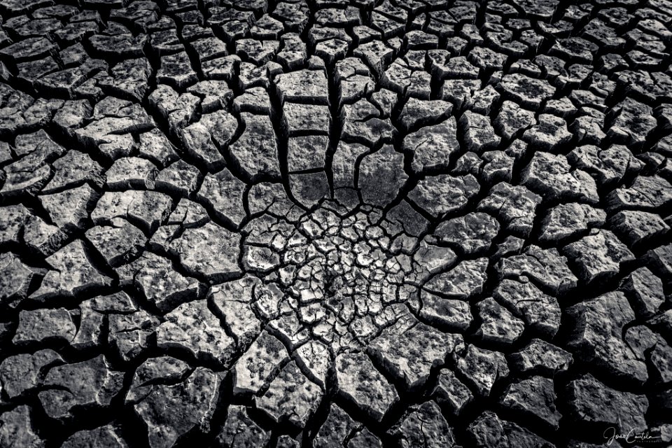 Dry Land (231274145)