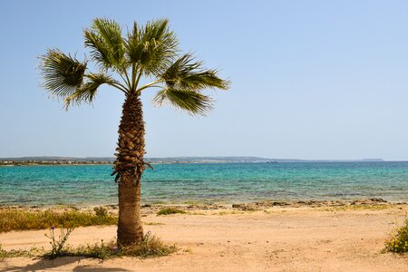 Beach sea landscape