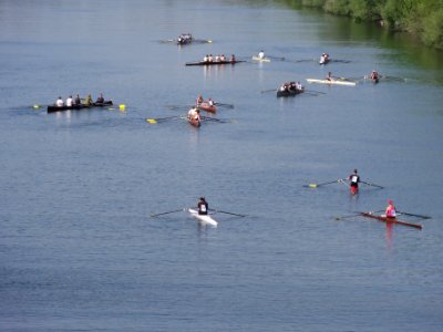 DSC05878 Nijmegen, Phocas roeivereniging Paasdrukte met boten op Maaswaalkanaal