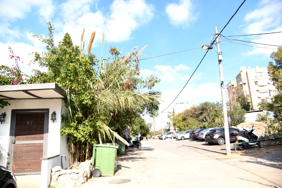 DSC-1668-kfar-shalem-2018