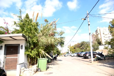 DSC-1668-kfar-shalem-2018