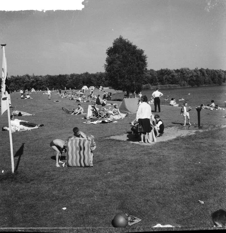 Drukte in het Amsterdamse Bos, Bestanddeelnr 912-6411