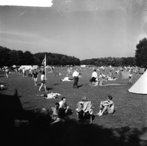 Drukte in het Amsterdamse Bos, Bestanddeelnr 912-6413