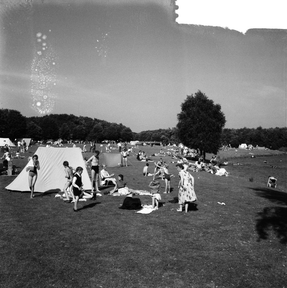 Drukte in het Amsterdamse Bos, Bestanddeelnr 912-6412