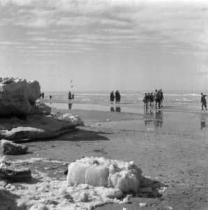 Drukte in Zandvoort, Bestanddeelnr 902-0669