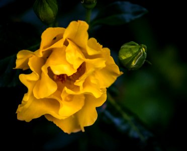 Dscf (259503589)