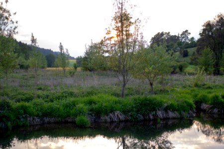 Dscf (259503117)