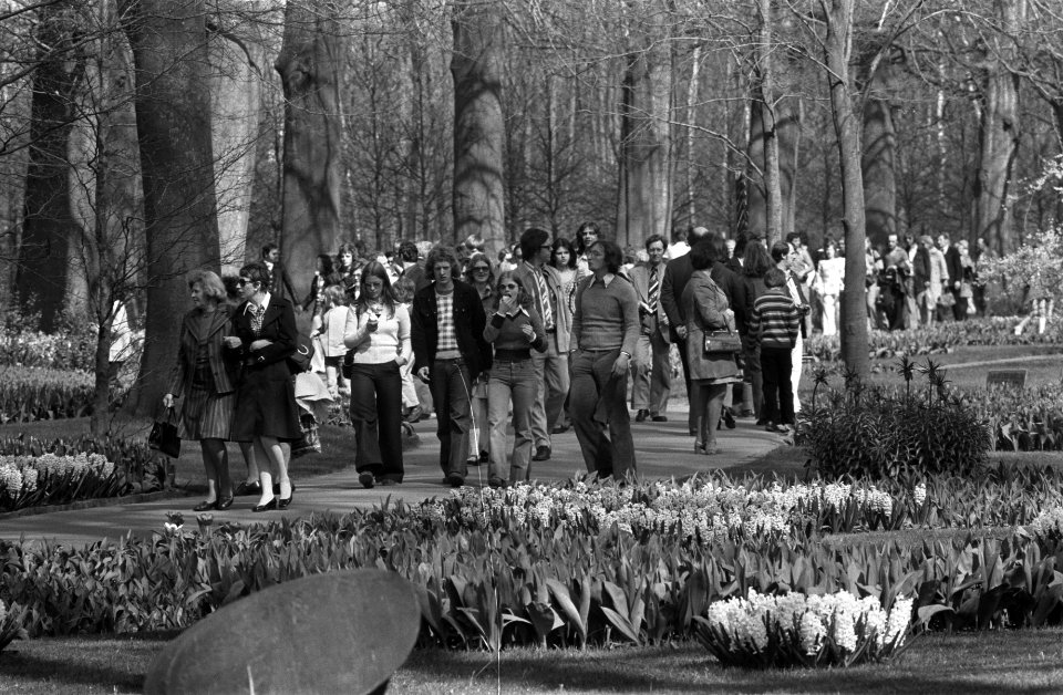 Drukte op Keukenhof, Bestanddeelnr 927-1146
