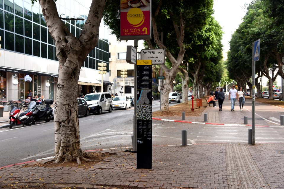 DSC-1547-Rothschild Boulevard-december-2017-tel-aviv-israel