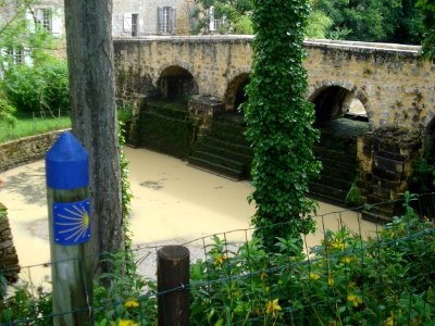 DSC03443 Le Bassanne à Pondaurat (Gironde, Fr)