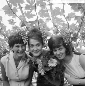 Druivenfeest 1965 in Naaldwijk, v.l.n.r. de oogstfee Maja van de Berg, druivenpr, Bestanddeelnr 917-9369