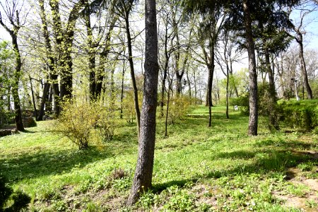 DSC-2559-cotroceni-palace-april-2018