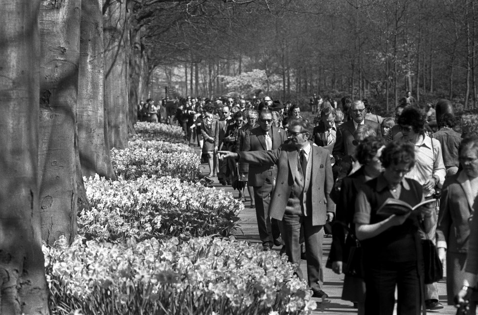 Drukte op Keukenhof, Bestanddeelnr 927-1145