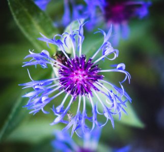 Dscf (259502707)