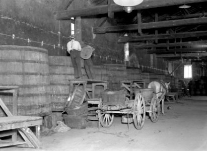 Druiven storten in grote vaten in Chateau de la Chaize, Bestanddeelnr 191-0318