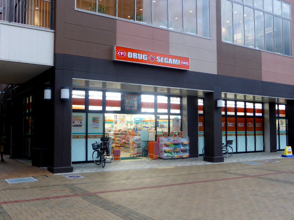 DRUG SEGAMI in front of Okubo station store