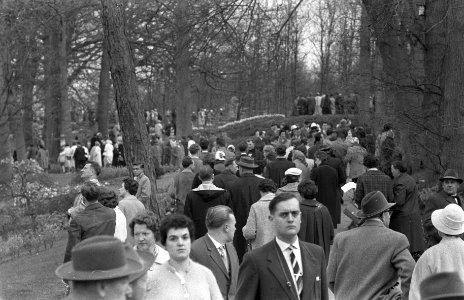 Drukte op de Keukenhof tijdens de Paasdagen, Bestanddeelnr 911-1759
