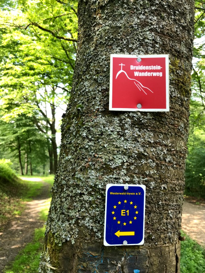 Druidenstein-Wanderweg Schild im Wald Originalfoto