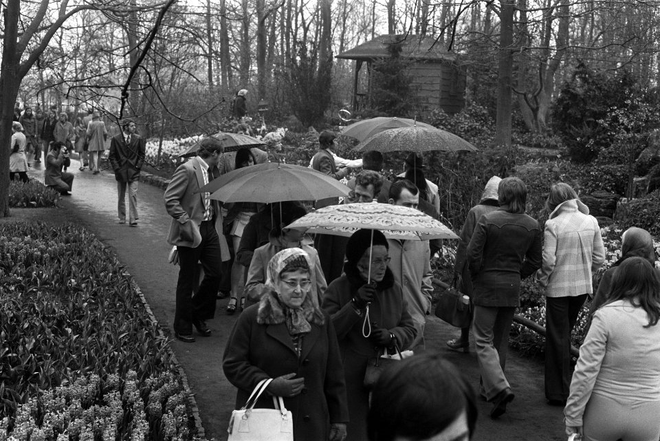 Drukte op Keukenhof in de regen, Bestanddeelnr 926-3644