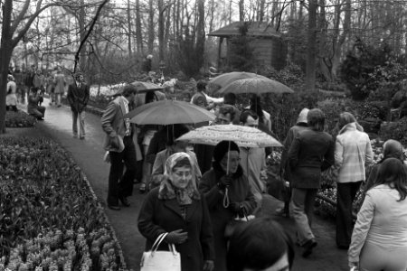 Drukte op Keukenhof in de regen, Bestanddeelnr 926-3644