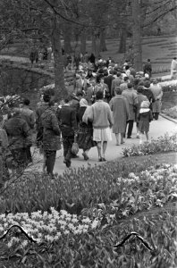 Drukte op de Keukenhof tijdens de Paasdagen, Bestanddeelnr 911-1758