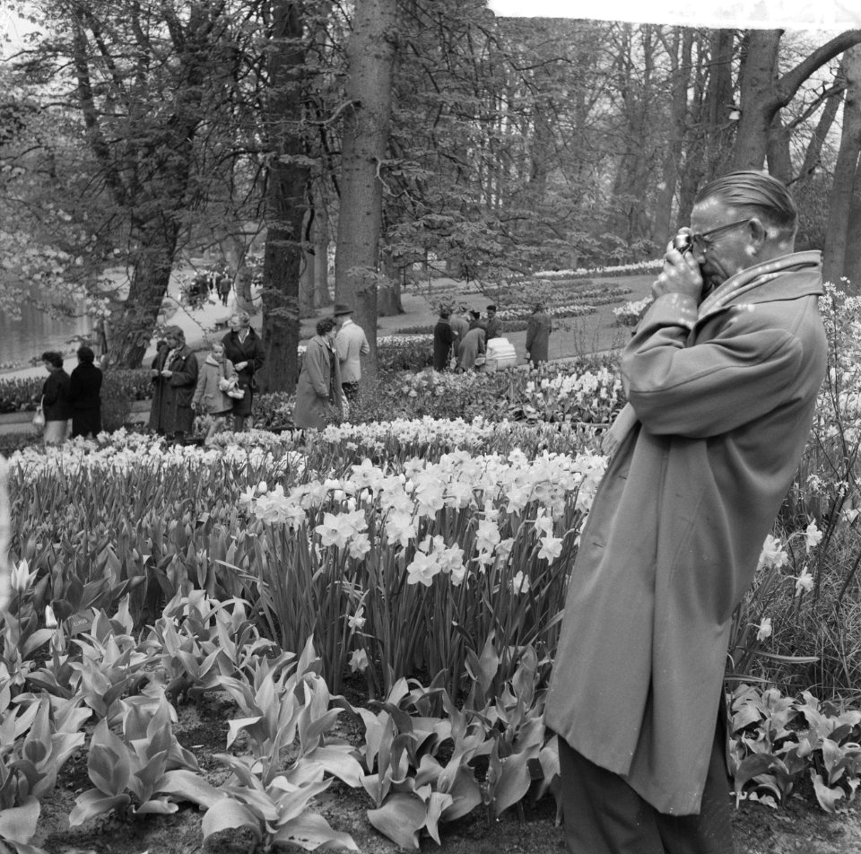 Drukte op de Keukenhof, Bestanddeelnr 912-3548