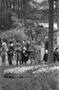 Drukte op de Keukenhof tijdens de Paasdagen, Bestanddeelnr 911-1760