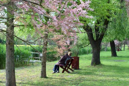 Old couple recreation old