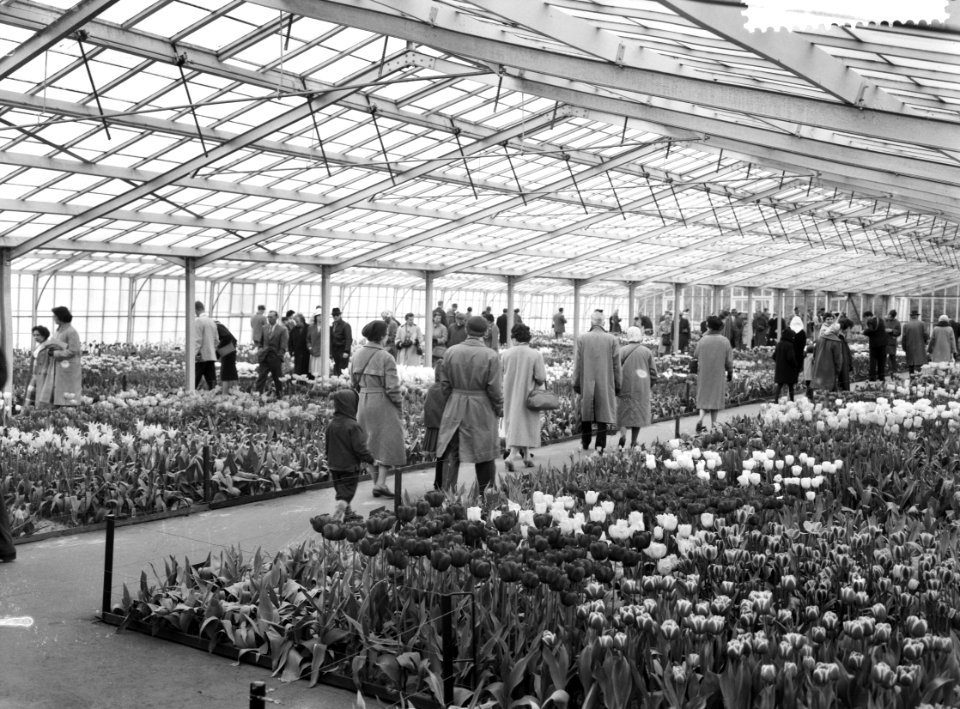 Drukte op Goede Vrijdag op de Keukenhof, Bestanddeelnr 911-1735