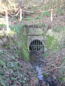 Deutergraben Einlass Damm Waldteich