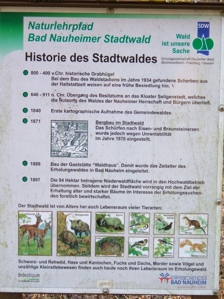 Deutergraben Dietersbrücke Historie des Stadtwalds