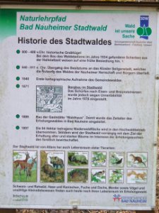 Deutergraben Dietersbrücke Historie des Stadtwalds