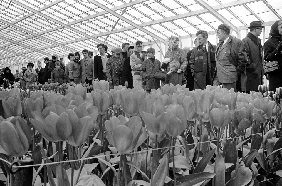 Drukte op de Keukenhof, Bestanddeelnr 920-1848