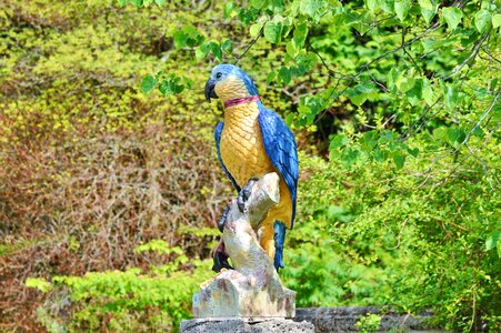 Animal decoration bird photo