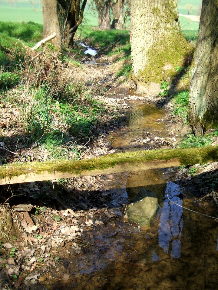 Deutergraben vom Waldrand abgelöst