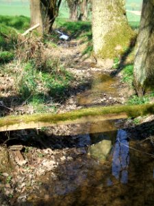 Deutergraben vom Waldrand abgelöst