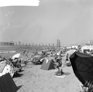 Drukte op Scheveningen, Bestanddeelnr 912-6758