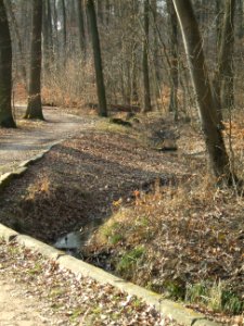 Deutergraben oberhalb Waldteiche